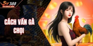 Cách Vần Gà Chọi – Các Bài Tập Giúp Chiến Kê Sung Đòn Hơn
