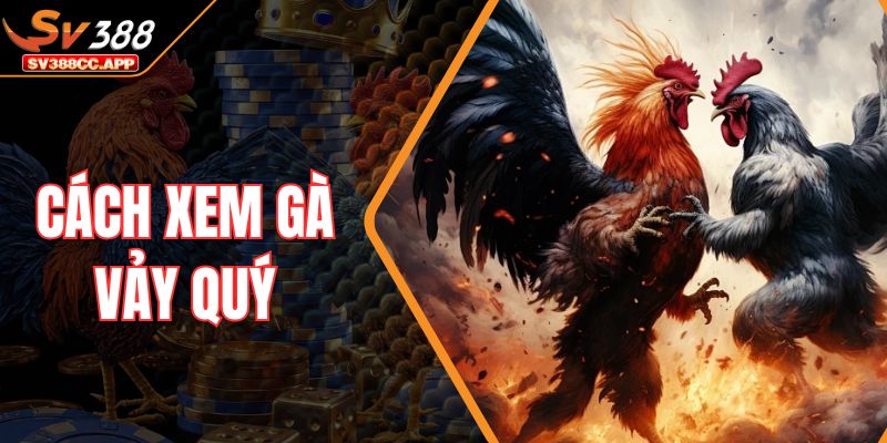 Cách Xem Gà Vảy Quý – Nhận Diện Vảy Hiếm Tăng Tỷ Lệ Thắng