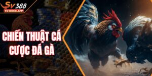 Chiến Thuật Cá Cược Đá Gà – Bí Quyết Thắng Lớn Ổn Định