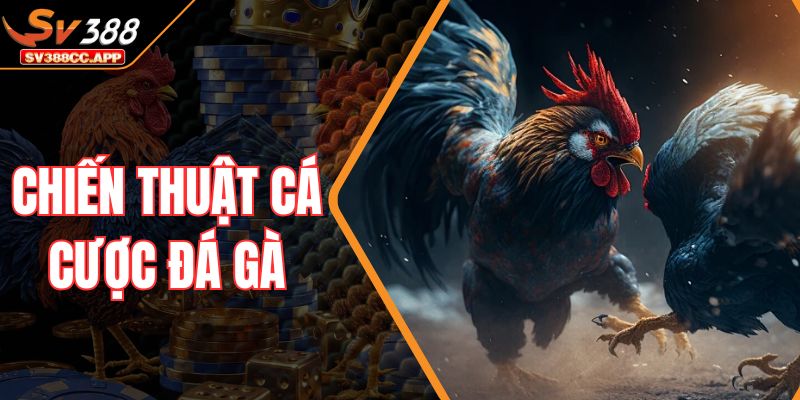 Chiến Thuật Cá Cược Đá Gà – Bí Quyết Thắng Lớn Ổn Định