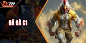 Đá Gà C1 - Trải Nghiệm Kịch Tính Nhất Ngay Trên Màn Hình