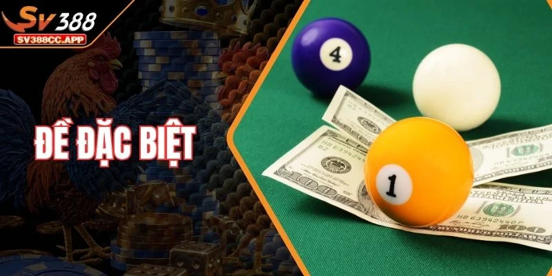 Đề Đặc Biệt – Bí Quyết Bắt Cầu Ăn Chắc Của Chuyên Gia